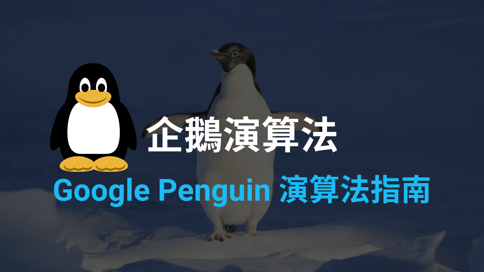 Google企鹅演算法